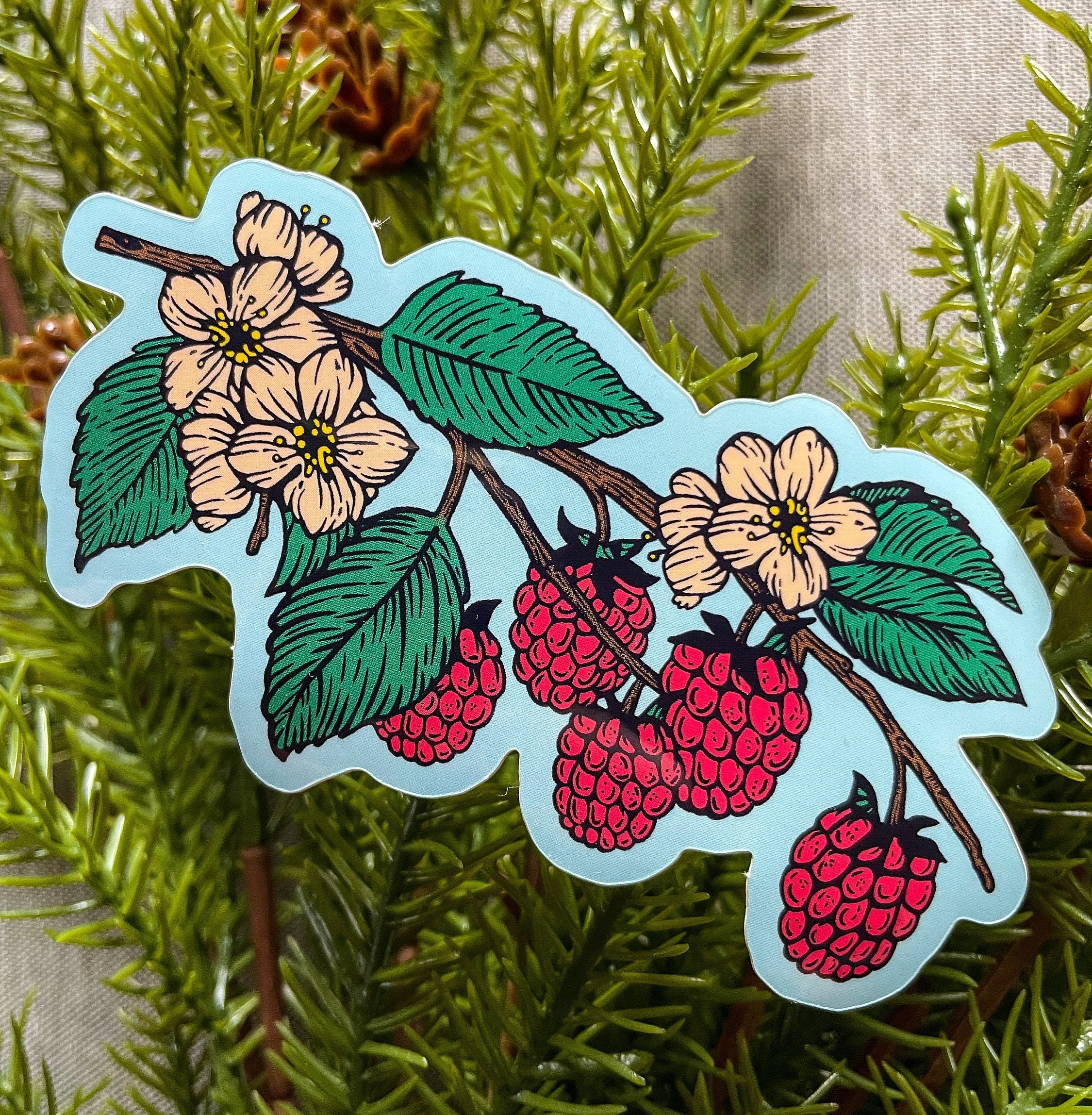 Raspberry Vine Sticker - Etsy