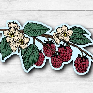 May include: A sticker featuring a hand-drawn illustration of a branch with white flowers and red raspberries. The branch is depicted with green leaves and a brown stem.