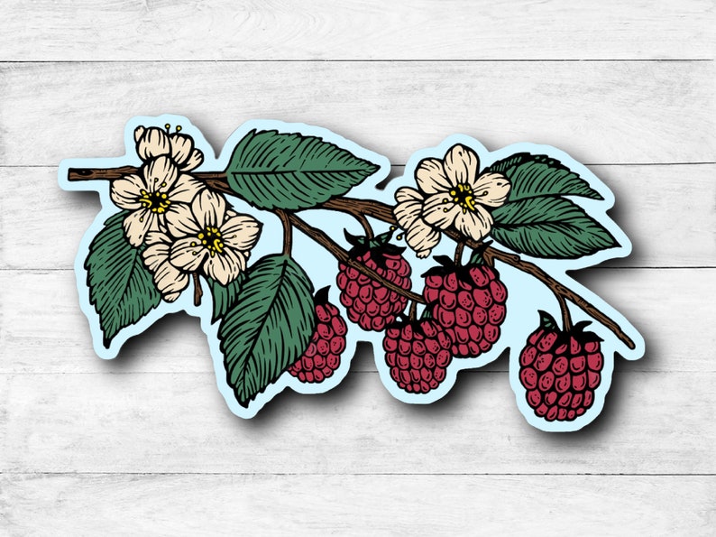 Raspberry Vine Sticker - Etsy