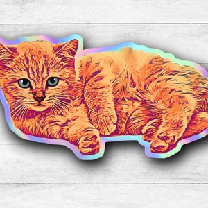 Orange Kitten Holographic Sticker