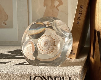1970s Lucite Shell Paperweight