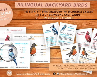 Bilingual Backyard Birds of North America - SPANISH Homeschool Montessori Science Anatomy - Printable Instant Download -- Watercolor Art