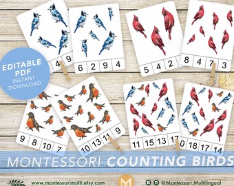 COUNTING BIRDS • Backyard birds • Montessori Counting Cards • Clip Cards • Flash Cards • Educational • Montessori Printable • Editable PDF