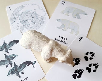 Arctic Animals Counting Cards: Montessori Homeschool Printable (PDF)