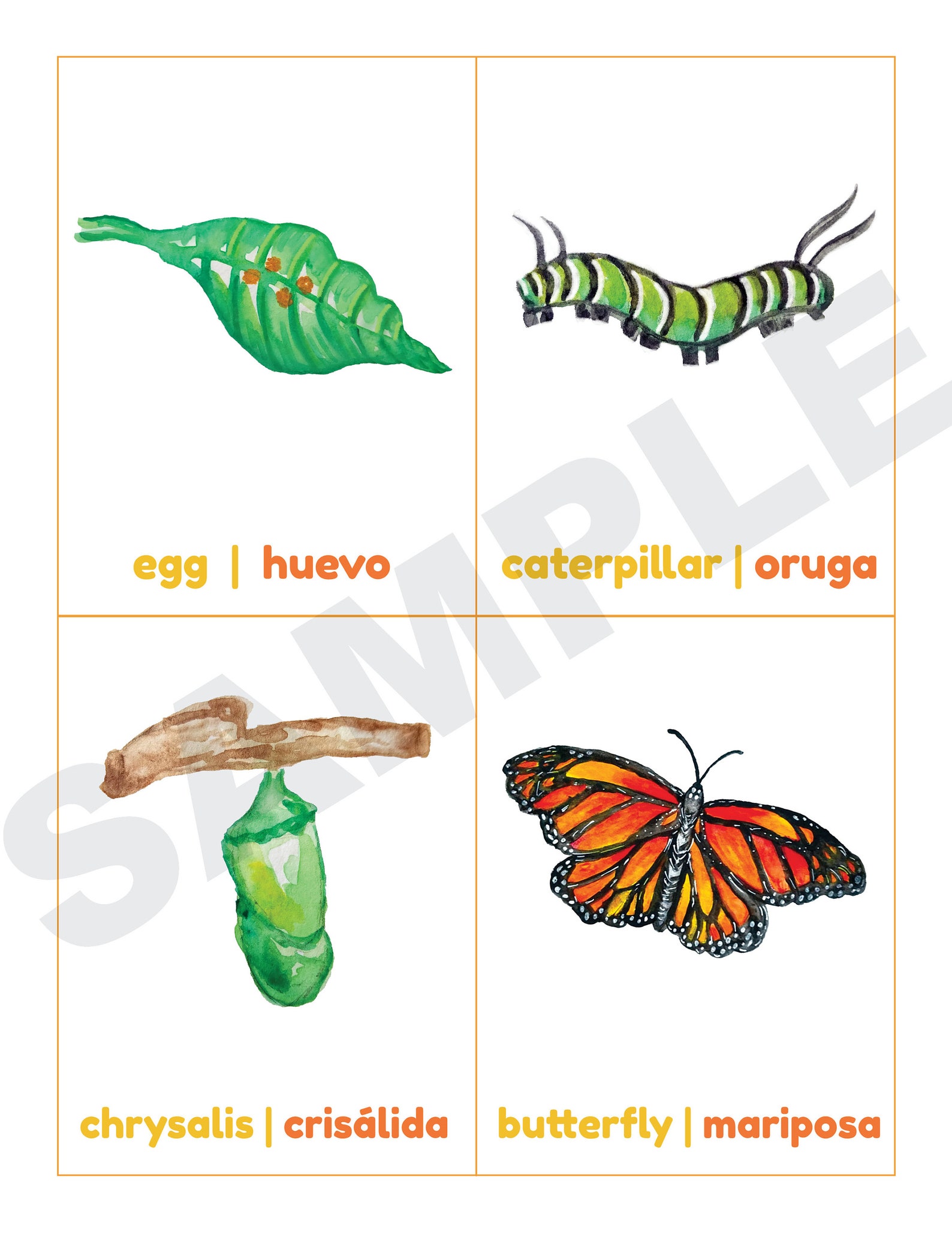 Bilingual Monarch Butterfly Life Cycle Montessori SPANISH Etsy bilingual-monarch-butterfly-life-cycle-montessori-spanish-etsy