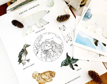 Arctic Animal Poster Printable - Instant Download - Montessori Printable - Winter Watercolor Art - Prints - Polar Bear Orca Whale Fox Snow