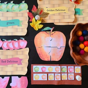 Apple Color Sorting Apple Toddler Puzzles Apple Patterns Printable Montessori Math Preschool Fall Activity Homeschool Fall Apples image 3