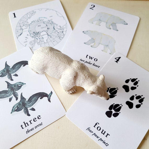 COUNTING ARCTIC ANIMALS Montessori Counting Cards Clip