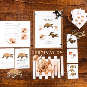 May include: A set of educational cards for children featuring illustrations of a tortoise, snail, mushroom, and crocodile. The cards are numbered 1 through 5 and include the words "one", "two", "three", "four", and "five". The cards are designed to teach children about counting and numbers.