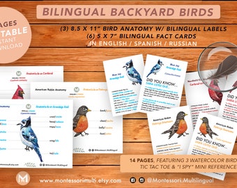 Bilingual Backyard Birds of North America - RUSSIAN Homeschool Montessori Science Anatomy - Printable Instant Download -- Watercolor Art