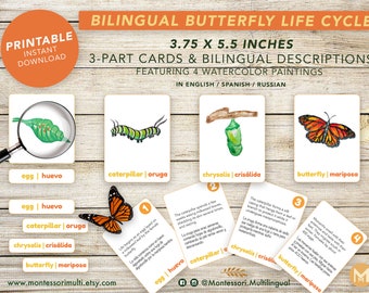 Bilingual Monarch Butterfly Life Cycle - Montessori RUSSIAN English - Printable Instant Digital Download - Watercolor Art - Botany Science