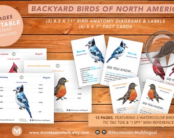 Backyard Birds of North America - Homeschool Science - Bird Anatomy- Montessori Printable - Printable Instant Download -- Watercolor Art