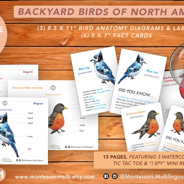 Backyard Birds of North America - Homeschool Science - Bird Anatomy- Montessori Printable - Printable Instant Download -- Watercolor Art