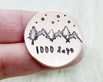 Moneda de sobriedad, ficha de sobriedad, fichas de sobriedad, llavero de sobriedad, fichas de AA, medallón, regalos de sobriedad, regalos de recuperación, ánimo, 90 días