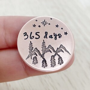 Sobriety token, sober token, sobriety, sobriety chips, sobriety keychain, aa chip, medallion, sober gifts, recovery gifts, 365 days, sober