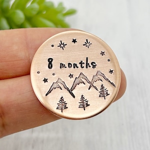 Sobriety gift, sobriety gift for men, sobriety keychain, sobriety chips, medallion, sober gifts, recovery gifts, sobriety coin, sober token