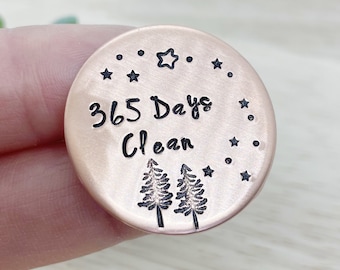 Regalo de sobriedad de 365 días, chip de sobriedad, recuperación, llavero de sobriedad, fichas AA, medallón, regalos sobrios, regalos de recuperación, moneda de sobriedad, como monedas