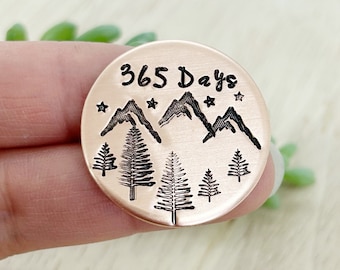 Regalo de sobriedad, chips de sobriedad, recuperación, llavero de sobriedad, chips aa, medallón, regalos sobrios, regalos de recuperación, moneda de sobriedad, como monedas, sobrio