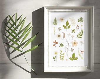 Kunstdruck Wanddeko: Gepresste Blumen Herbarium / Botanische Illustration