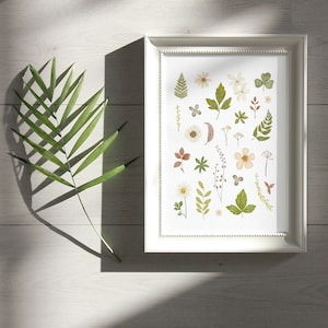 Art Print Wall Decor: Pressed Flowers Herbarium / Botanical Illustration