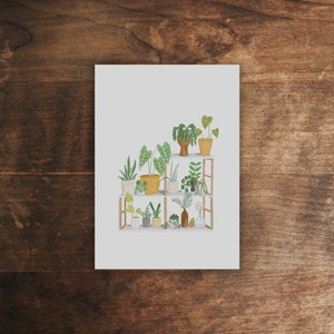 Postcard: Indoor Plants