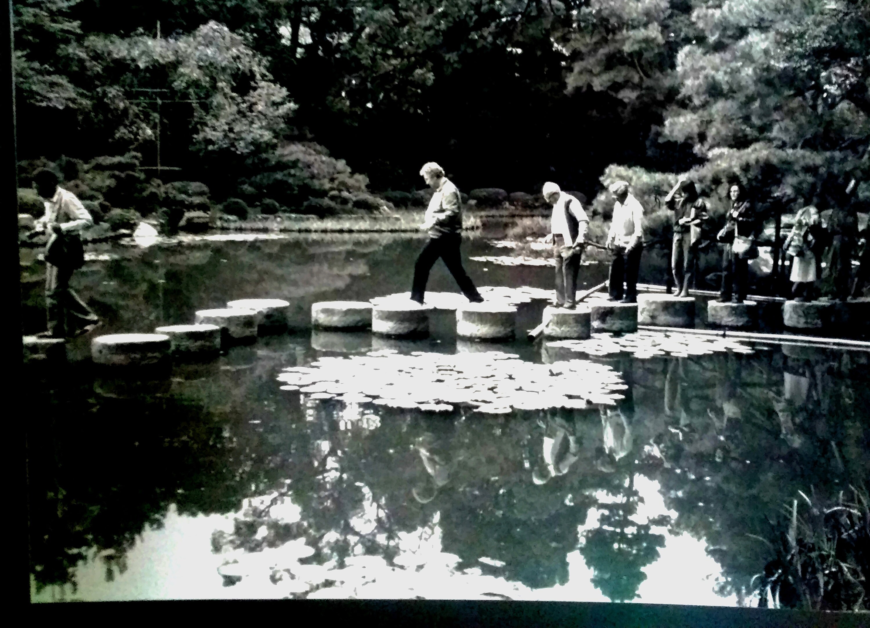 MH Collection Vintage Reprints Japanese Garden Lily Pad Pond Etsy Denmark