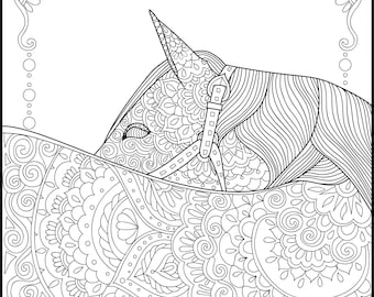 Horse Coloring Page for Adults Horse Adult Coloring Page Horse Coloring Page for Adults Horse Adult Coloring Page