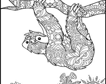 Sloth coloring  pages  Adult  coloring  book printable  