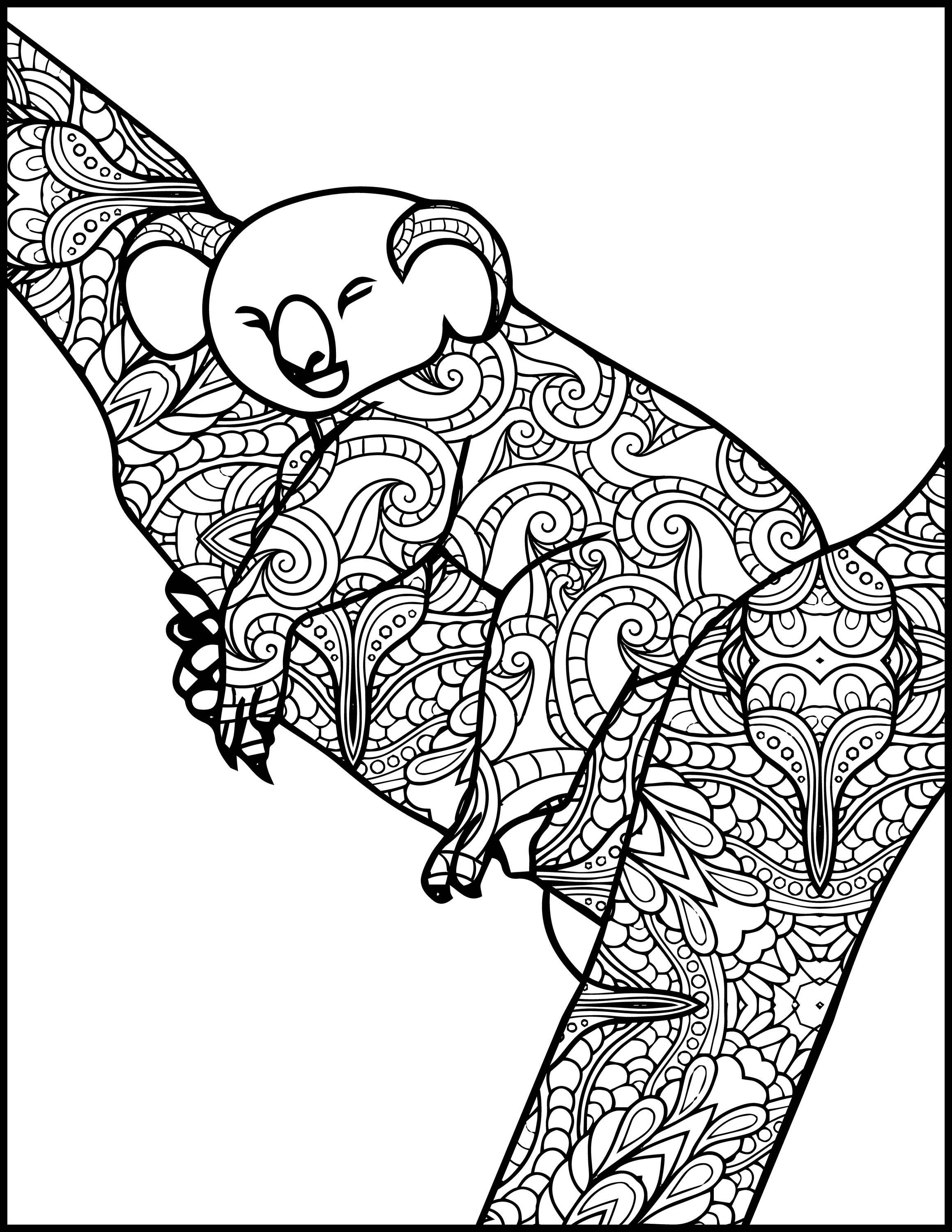 Download Animal Adult Coloring Page Koala Printable Coloring Page | Etsy