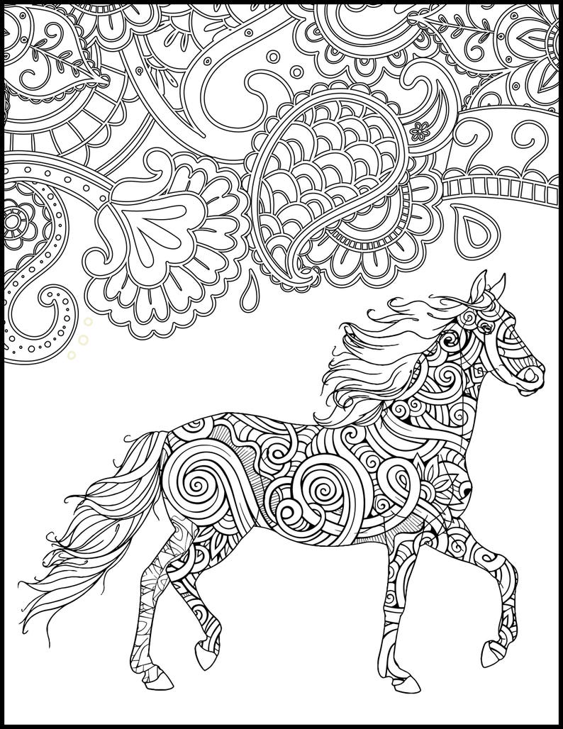 Download Horse Coloring Page for Adults Horse Adult Coloring Page ...