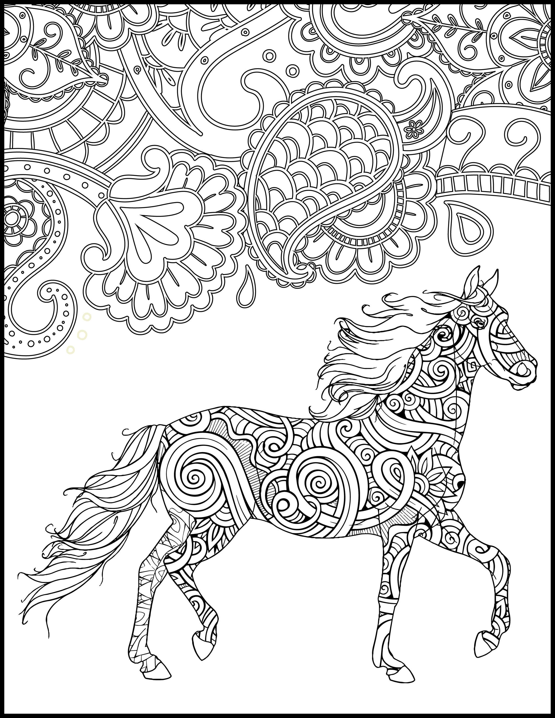 Horse Coloring Page for Adults Horse Adult Coloring Page | Etsy