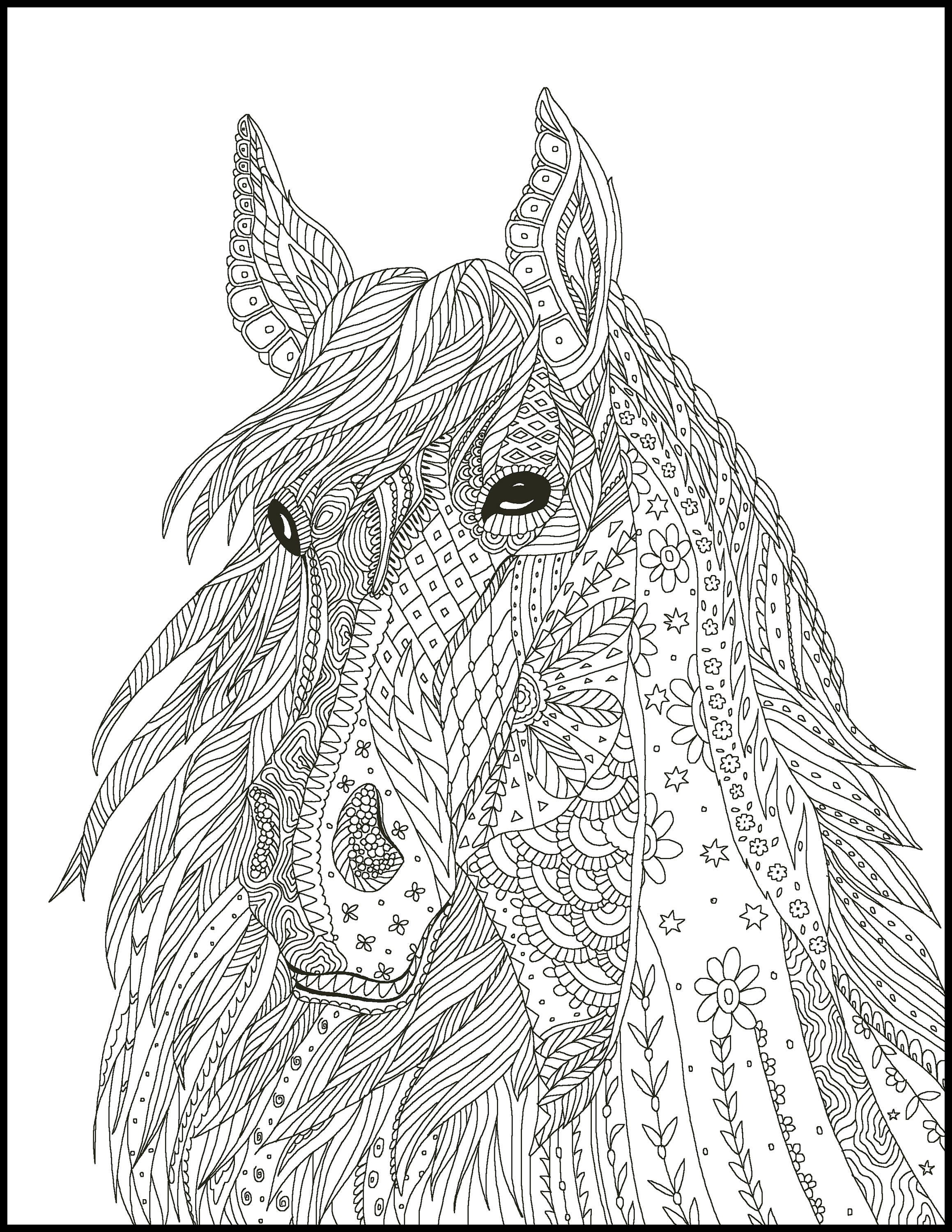 5 Horse Coloring Pages Coloring Pages for Horse Lovers | Etsy