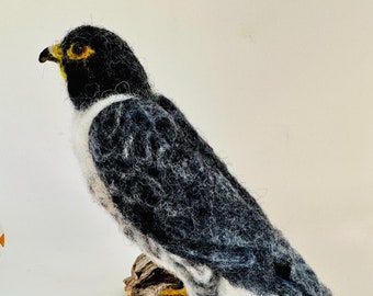 Needle Felted Falcon/ArtemisFibreArt/Peregrine Falcon/Falcon Sculpture/Needle felted Hawk/Bird Soft Sculpture/Falcon Art/Falcon Lover Gift