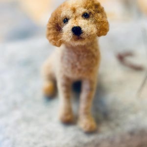 Needle Felted Mini Doodle : Felted Golden Doodle Dog, Cockerpoo Dog Gift, collectible mini Cavapoo sculpture for dog lover