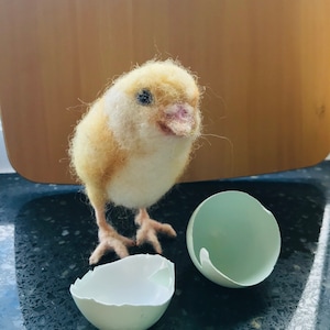 Needle Felted Chick/Cute chick/Baby Chick/Easter Chick/Spring Chick/Felted bird/Chicken Gift/Easter gift/Chick Ornament/Spring chicken