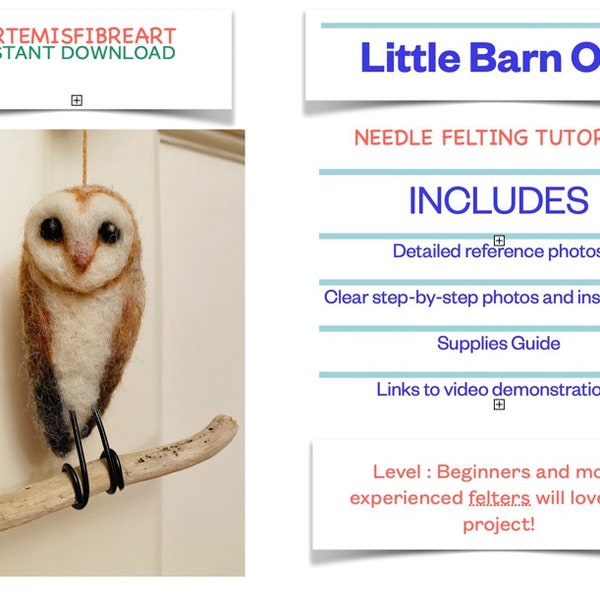 Owl pattern/Owl felting tutorial/Beginner/Needle felt Owl/Owl Download PDF/Needle felt download/Needle felt an Owl/How to Make a Barn owl