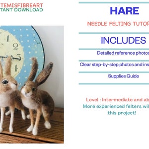 Hare pattern/Hare felting tutorial/Intermediate/Needle felt Hare/Hare Download/Create a Hare/Needle felt Hare instructions/Make a Hare
