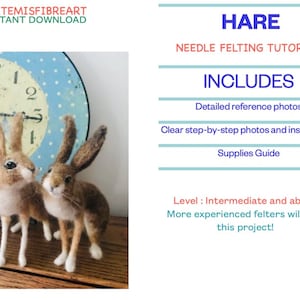 May include: Needle felting tutorial for making a hare. The tutorial includes detailed reference photos, step-by-step instructions, and a supplies guide. The tutorial is for intermediate and above felters.