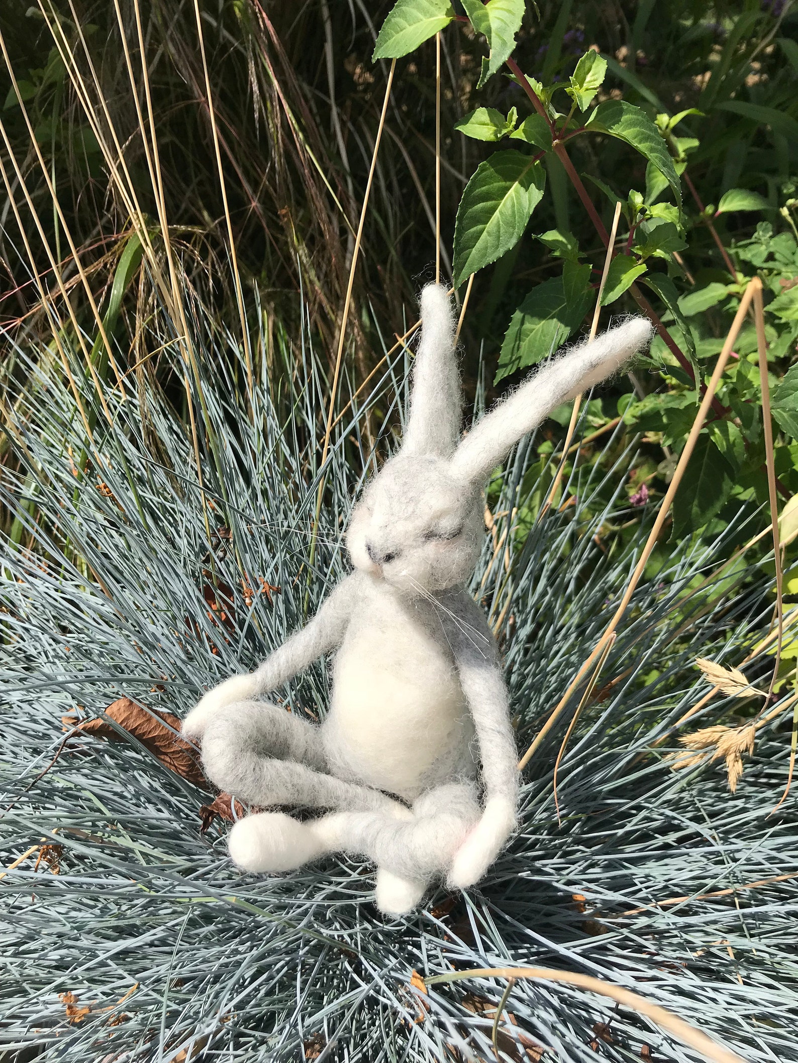 Happy Hase