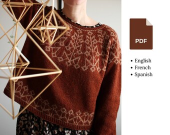 Knitting pattern | Pavuk pullover | Graphic colorwork pullover