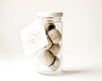 Native Loba: Jar of 6 small Loba's
