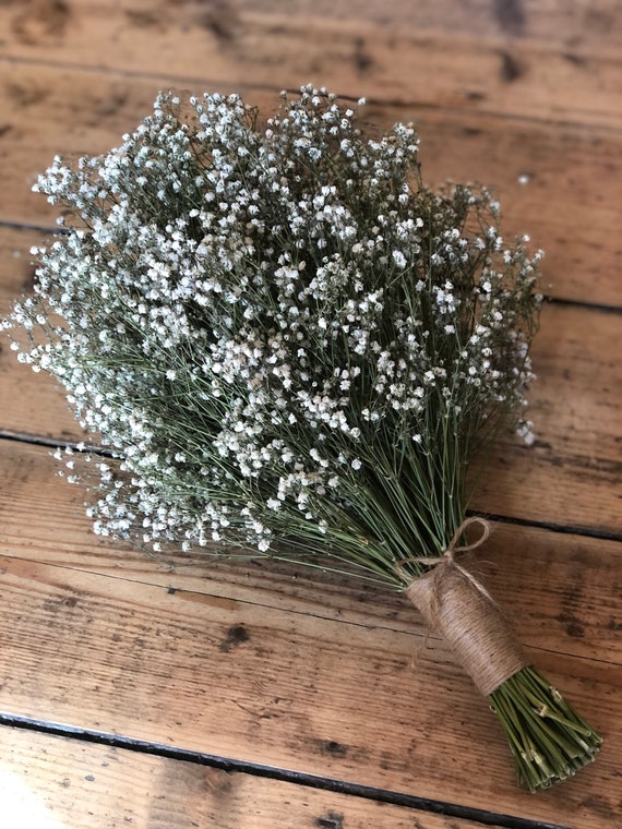 Where to find realistic looking artificial Baby's Breath/Gypsophila for  cheap?, Weddings, Do It Yourself, Wedding Forums