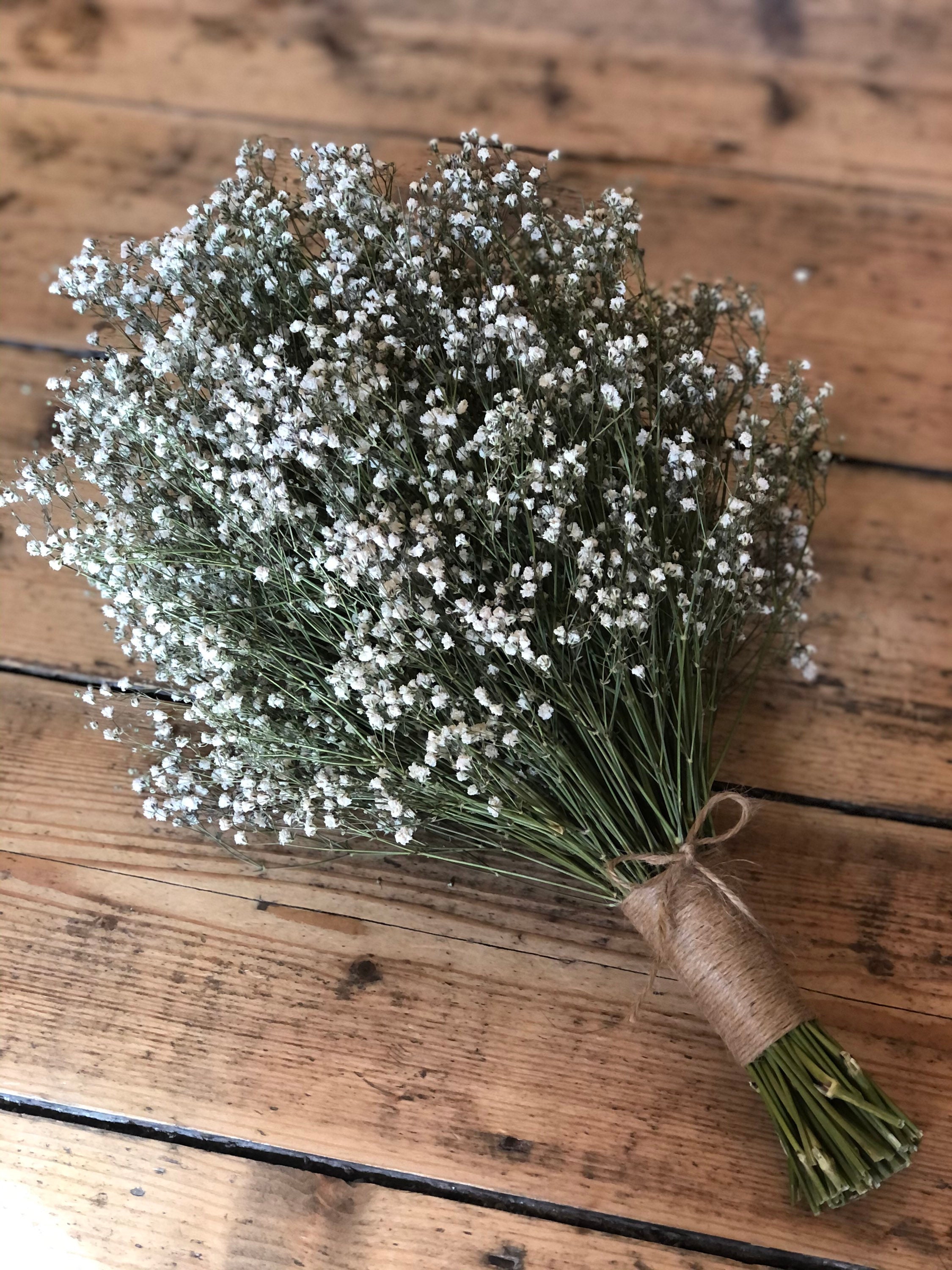 Dried Gypsophila Bouquet Dried Wedding Flowers Dried - Etsy