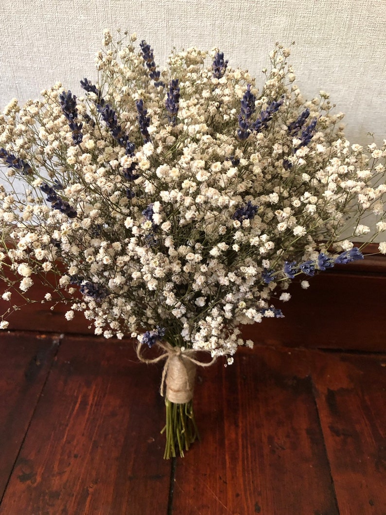 Gypsophile Séché Blanc Petales Boheme - Bouquet 45cm Plus De 2000 Fleurs Pour Mariage