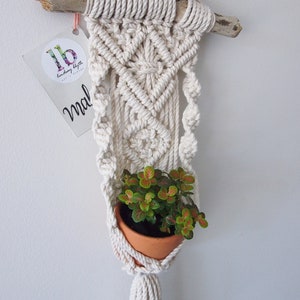 Plant Hanger Pattern, Macrame Tutorial Pattern, Mini Plant Hanger DIY, Beginner Macrame Pattern image 9