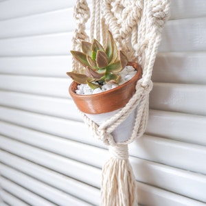 Plant Hanger Pattern, Macrame Tutorial Pattern, Mini Plant Hanger DIY, Beginner Macrame Pattern image 7