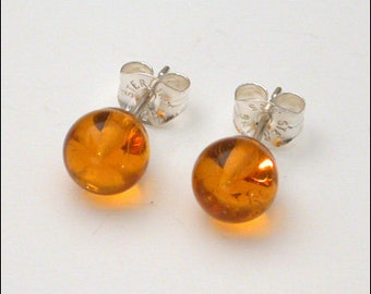Amber 6mm Round Stud Earrings - Available in Silver or Gold