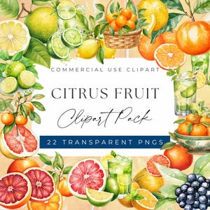 Citrus Fruits Clipart Bundle - Vibrant and Juicy Citrus Designs clipart, Clipart for commercial use, Transparent PNGs