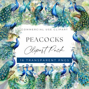 Peacock Clipart Bundle - Elegant and Majestic Peacock Designs clipart, Clipart for commercial use, Transparent PNGs