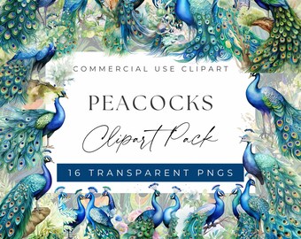 Watercolor Peacock Clipart Bundle – Elegant Bird Designs (PNG)